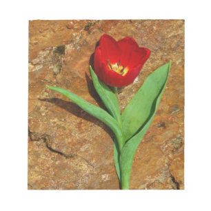 Geel en rood Tulip Notitieblok