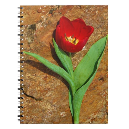 Geel en rood Tulip Notitieboek (Voorkant)