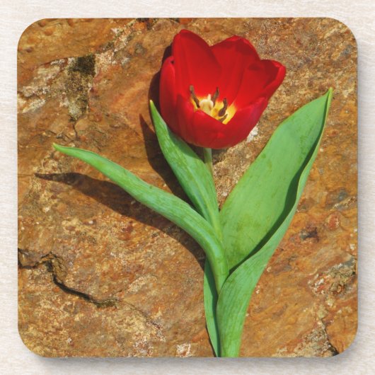 Geel en rood Tulip Onderzetter (Voorkant)