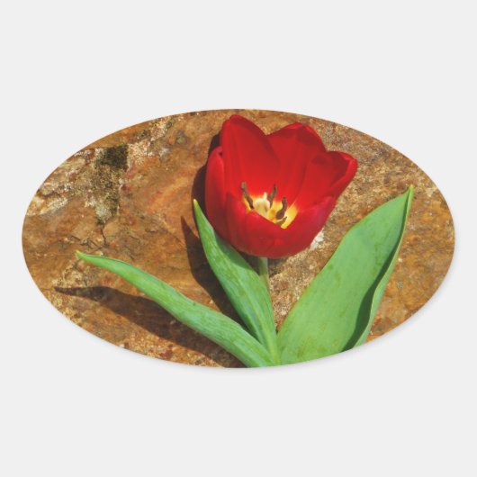 Geel en rood Tulip Ovale Sticker (Voorkant)