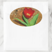 Geel en rood Tulip Ovale Sticker (Tas)