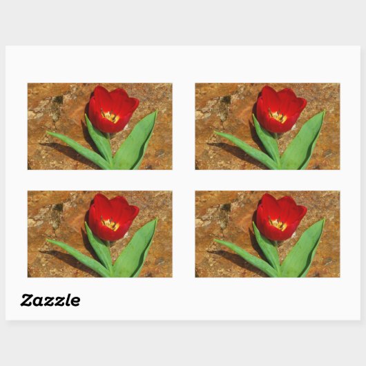 Geel en rood Tulip Rechthoekige Sticker (Vel)