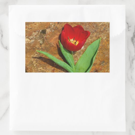 Geel en rood Tulip Rechthoekige Sticker (Tas)