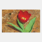 Geel en rood Tulip Rechthoekige Sticker (Voorkant)