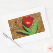 Geel en rood Tulip Rechthoekige Sticker (Envelop)