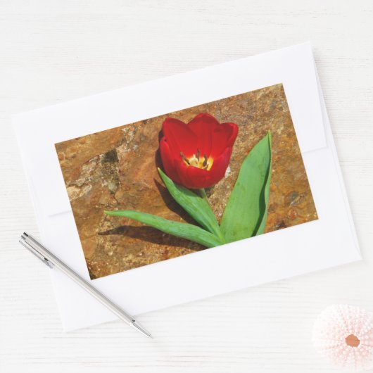 Geel en rood Tulip Rechthoekige Sticker (Envelop)