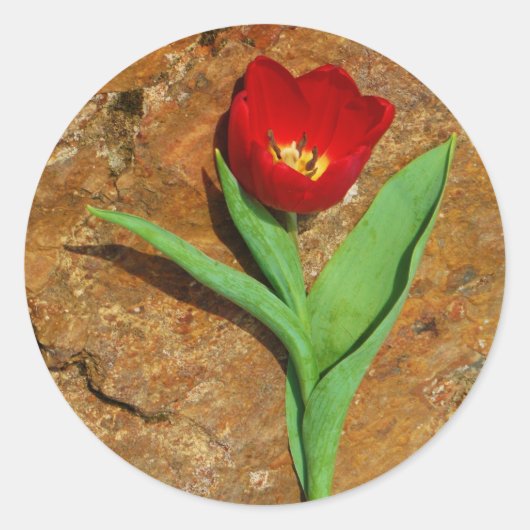 Geel en rood Tulip Ronde Sticker (Voorkant)
