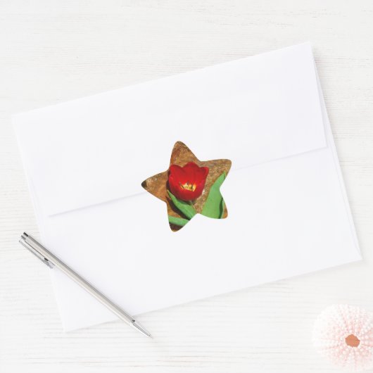 Geel en rood Tulip Ster Sticker (Envelop)