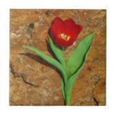 Geel en rood Tulip Tegeltje (Voorkant)