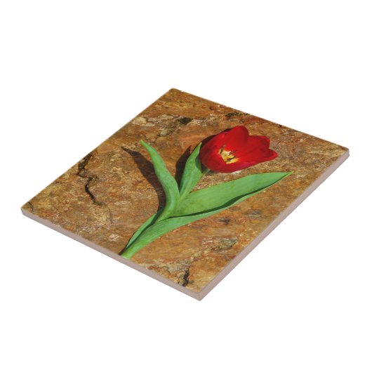 Geel en rood Tulip Tegeltje (Zijkant)