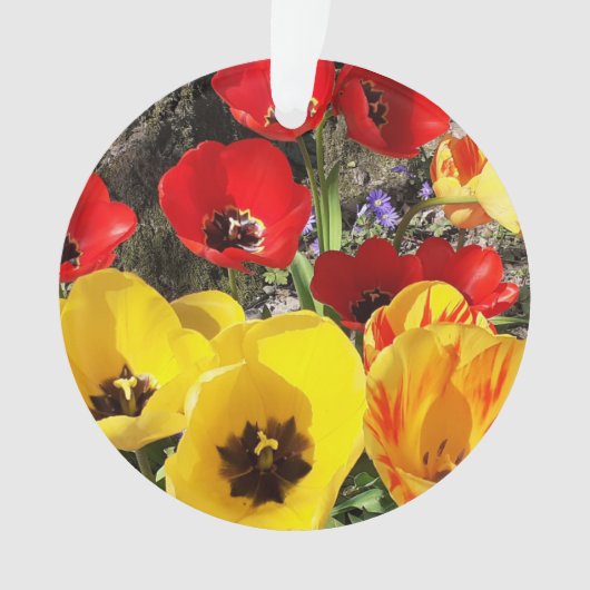 Geel en rood Tulpen Acrylversiering Ornament (voorkant)