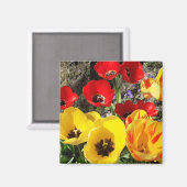 Geel en rood Tulps Magnet (Voorkant / Achterkant)