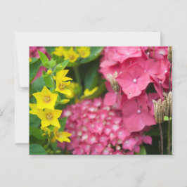 Geel en roze briefkaart