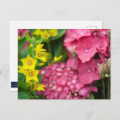 Geel en roze briefkaart (Voorkant / Achterkant)