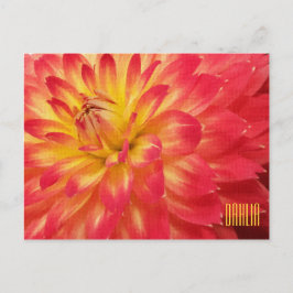 Geel en Roze Dahlia Horiztonal Briefkaart