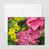 Geel en roze feestdagenkaart (Voorkant / Achterkant)