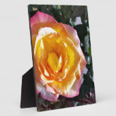 geel en roze fotoplaat (Zijkant)