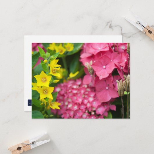 Geel en roze kaart (Voorkant / Achterkant in situ)