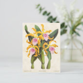Geel en Roze Laelia Orchid  Botanisch Briefkaart (Staand voorkant)