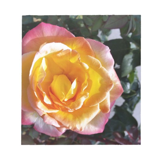 geel en roze notitieblok (Voorkant)