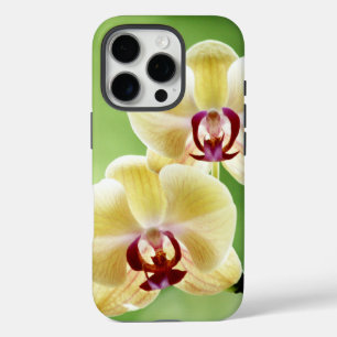 Geel en Roze Orchid iPhone 16 Pro Hoesje