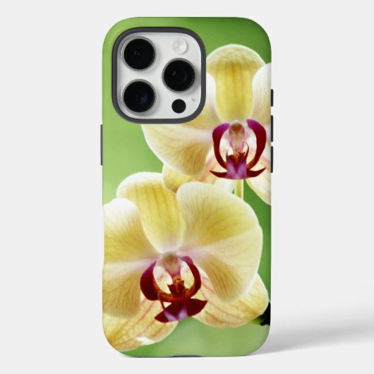 Geel en Roze Orchid Case-Mate iPhone Case (Achterkant)