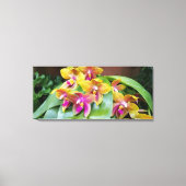 Geel en roze Orchidee bloemen Canvas Afdruk (Voorkant)