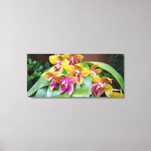 Geel en roze Orchidee bloemen Canvas Afdruk (Voorkant)