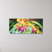 Geel en roze Orchidee bloemen Canvas Afdruk (Voorkant)