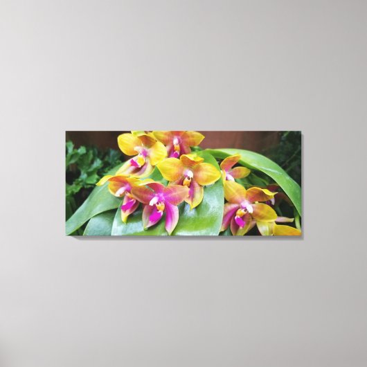 Geel en roze Orchidee bloemen Canvas Afdruk (Voorkant)