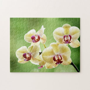 Geel en roze orchidee legpuzzel