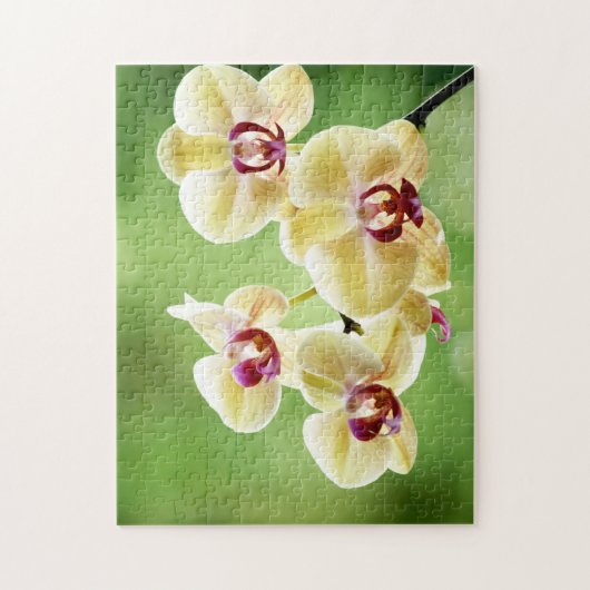 Geel en roze orchidee legpuzzel (Verticaal)