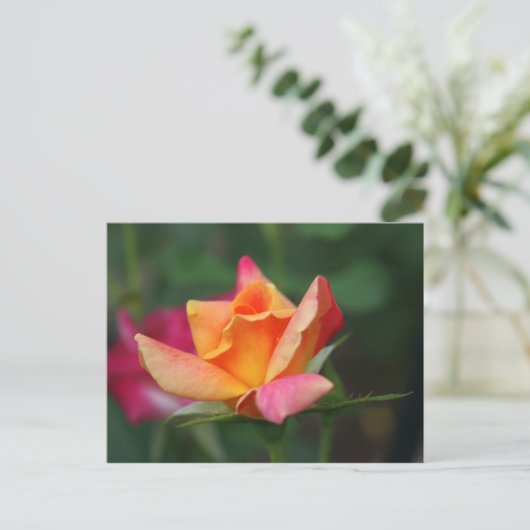 Geel en Roze Rose Briefkaart (Staand voorkant)