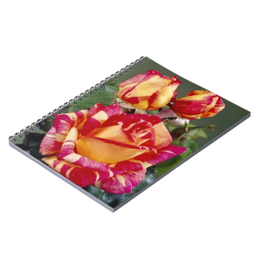 Geel en roze rozen spiraal Notitieboek (Linkerzijde)