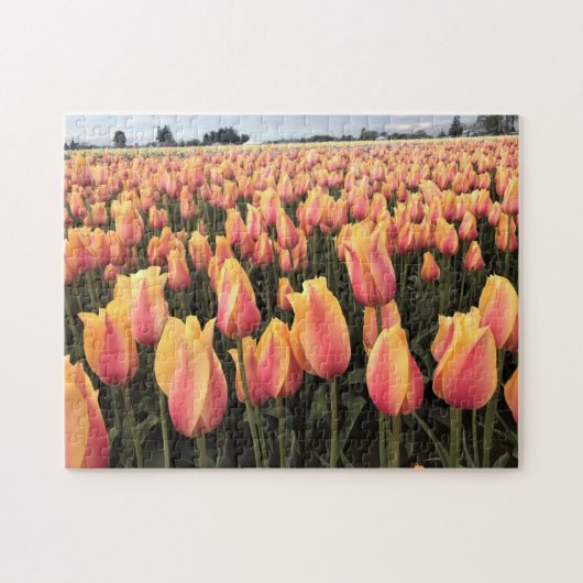 Geel en Roze Tulip Field, Oregon Legpuzzel (Horizontaal)