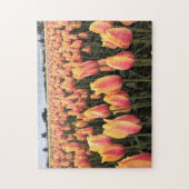 Geel en Roze Tulip Field, Oregon Legpuzzel (Verticaal)