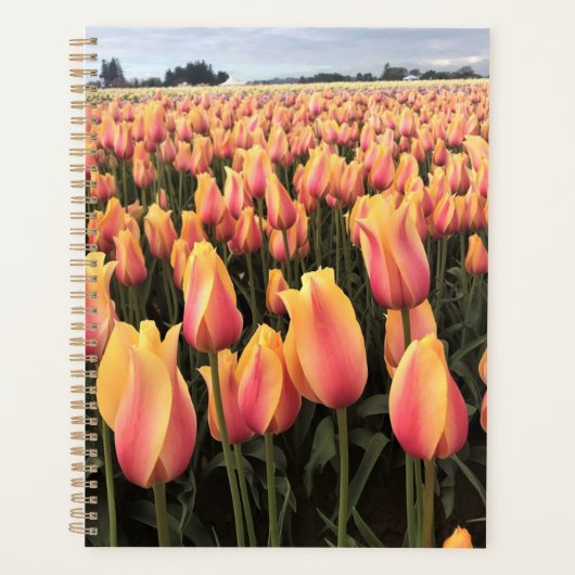 Geel en Roze Tulip Field, Oregon Planner (Voorkant)