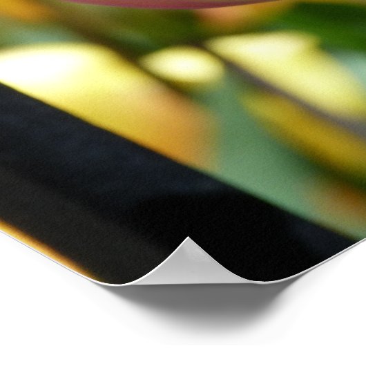 Geel en roze ventiel achter hek poster (Hoek)