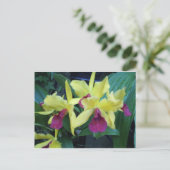 Geel en Violet Orchids Briefkaart (Staand voorkant)