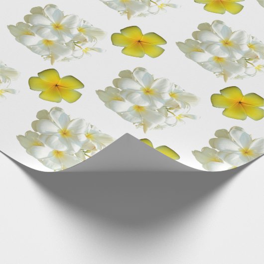 Geel en wit Frangipani Matte Wrapping papier (Hoek)