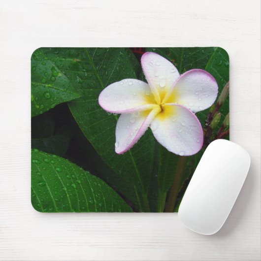 Geel en wit Hawaiian Plumeria Flower Mousepad Muismat (Met muis)