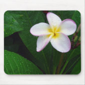 Geel en wit Hawaiian Plumeria Flower Mousepad Muismat (Voorkant)