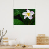 Geel en wit Hawaiian Plumeria Flower Poster (Keuken)