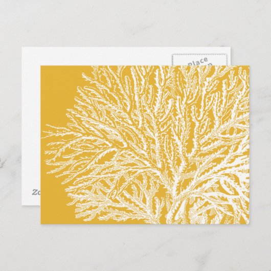 Geel en wit koraal briefkaart (Voorkant / Achterkant)