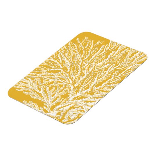 Geel en wit koraal magneet (Linkerzijde)