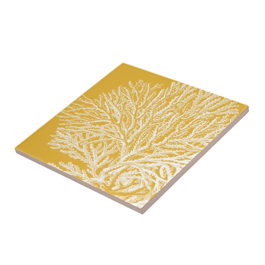 Geel en wit koraal tegeltje (Zijkant)