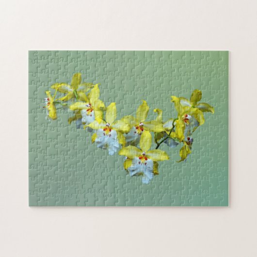 Geel en wit Vuylstekeara Orchideeën Hart Legpuzzel (Horizontaal)