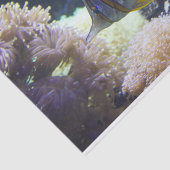 geel en wit zout tissuepapier (Detail)