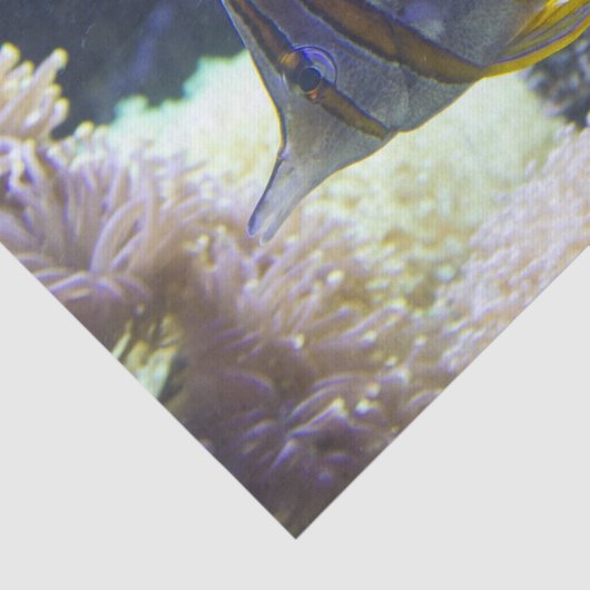 geel en wit zout tissuepapier (Detail)