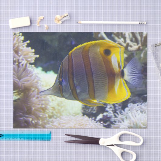 geel en wit zout tissuepapier (Craft)